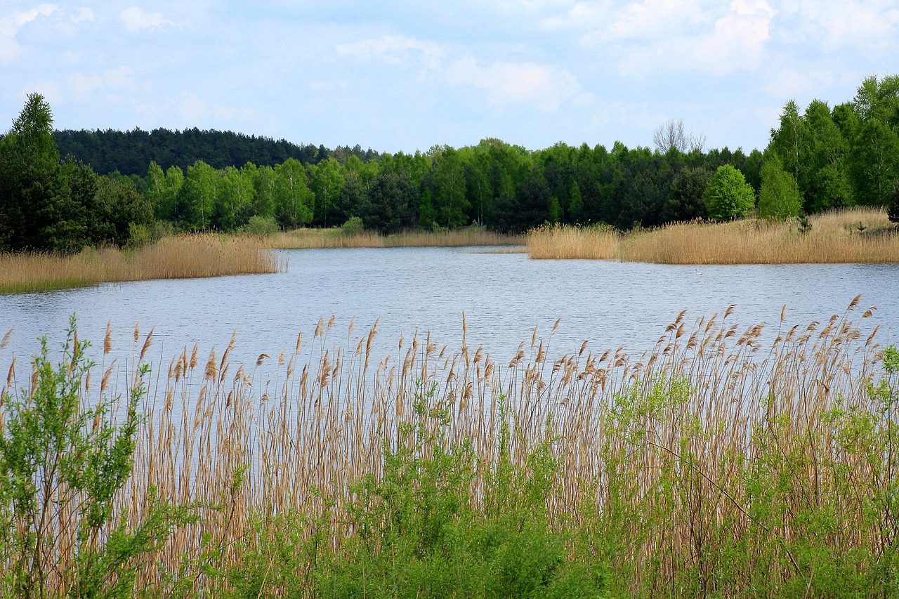 Atrakcje nad zalewem Chańcza